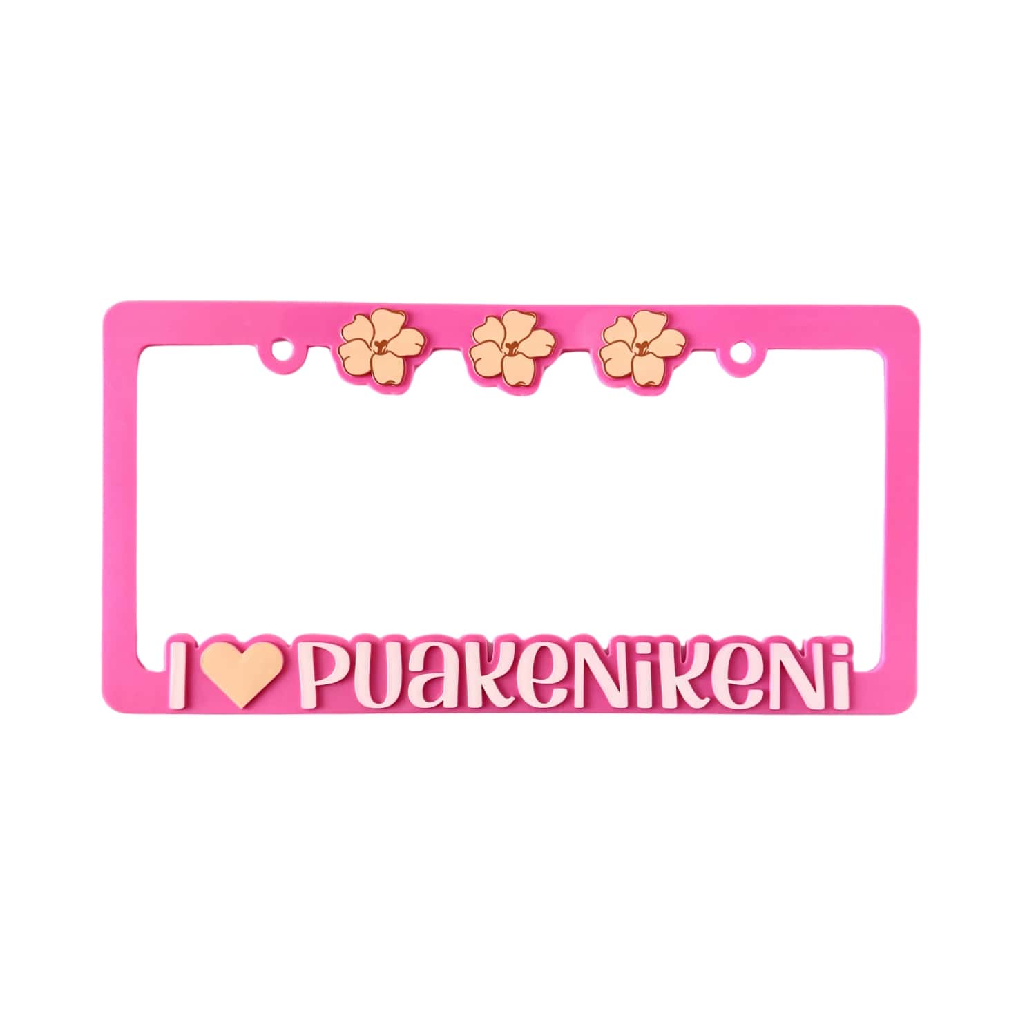 puakenikeni license plate - Puakenikeni Box - February 2025 - from Puakenikeni Designs